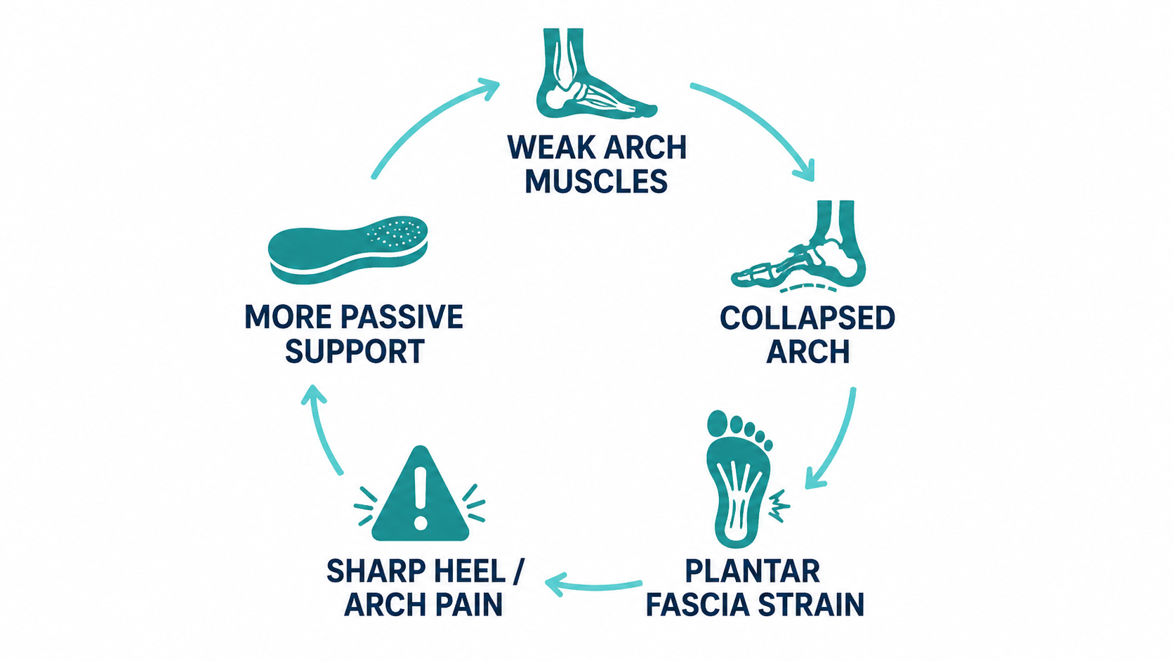 Weak arch support loop infographic